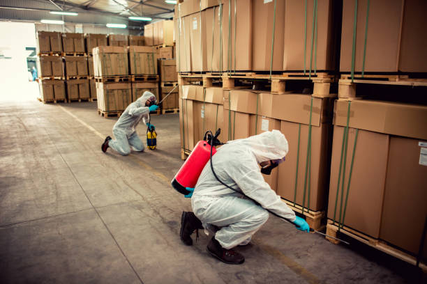Best Pest Removal Services  in Clear Lake, IA