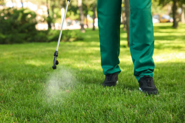 Best Ant Control Services  in Clear Lake, IA