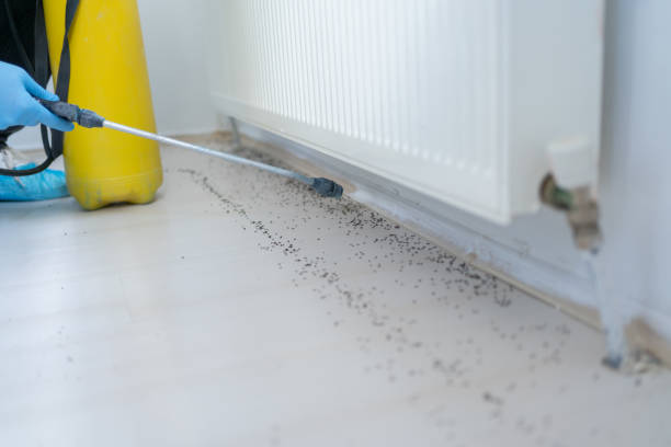 Best Best Pest Control Companies  in Clear Lake, IA